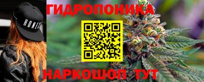 спиды Братск