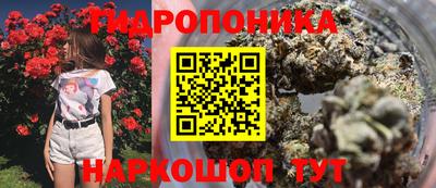 таблы Боровичи