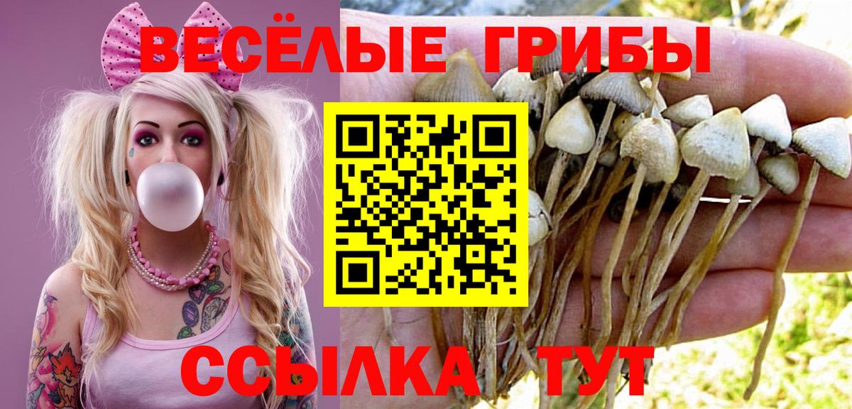 Галлюциногенные грибы мухоморы Барнаул