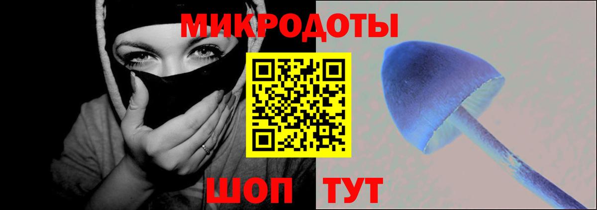 Барнаул  Галлюциногенные грибы Psilocybe  где купить наркоту  Вход с VPN 